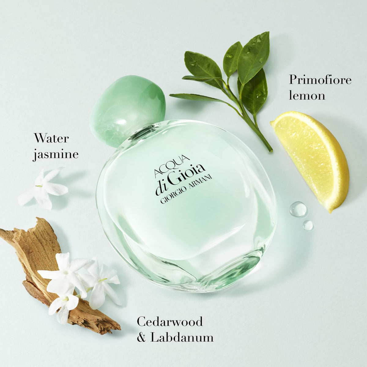 Armani Beauty - Acqua di Gioia - Eau de Parfum - Floral Fruity Fragance for Women - Primofiore Lemon, Water Jasmin, Cedarwood Notes
