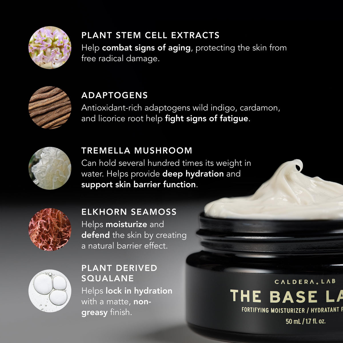Caldera + Lab The Base Layer | Men's Organic Face Cream Moisturizer for Dry, Sensitive, & Normal Skin – Vegan, Natural & Antioxidant Packed Facial Skincare